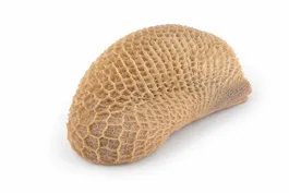 Honeycomb beef cut