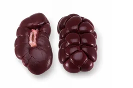 Kidney beef cut