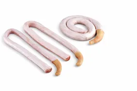 Tendon beef cut
